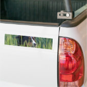 Schapenhond in gras bumpersticker (Op Truck)
