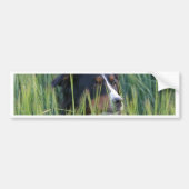 Schapenhond in gras bumpersticker (Voorkant)