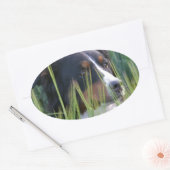 Schapenhond in gras ovale sticker (Envelop)