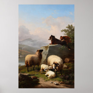 Schapenhonden die de schapen bewaken, overkijkende poster