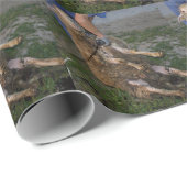 Schapenhoorzitting Cadeaupapier (Rol Hoek)