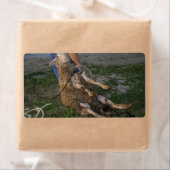 Schapenhoorzitting Etiket (Insitu)