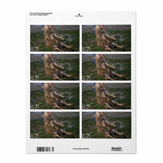 Schapenhoorzitting Etiket (Full Sheet)