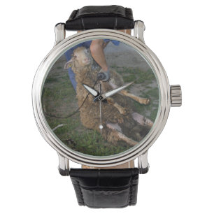 Schapenhoorzitting Horloge
