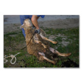 Schapenhoorzitting Kaart (Voorkant)