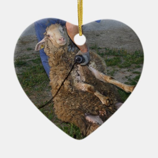 Schapenhoorzitting Keramisch Ornament (Voorkant)