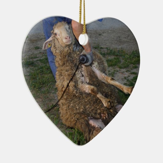 Schapenhoorzitting Keramisch Ornament (Rechts)