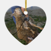 Schapenhoorzitting Keramisch Ornament (Voorkant)