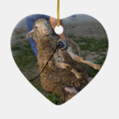 Schapenhoorzitting Keramisch Ornament (Achterkant)