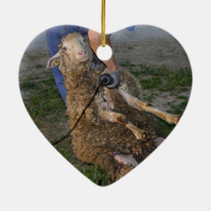 Schapenhoorzitting Keramisch Ornament