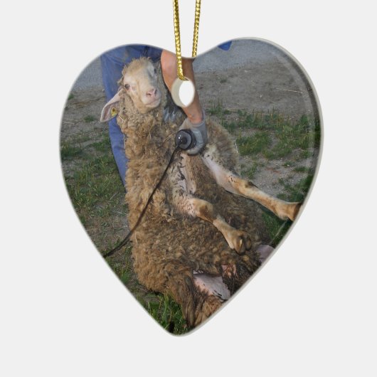 Schapenhoorzitting Keramisch Ornament (Links)