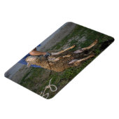 Schapenhoorzitting Magneet (Linkerzijde)