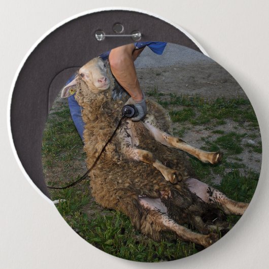 Schapenhoorzitting Ronde Button 6,0 Cm (Voorkant /achterkant)