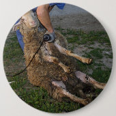 Schapenhoorzitting Ronde Button 6,0 Cm (Voorkant)