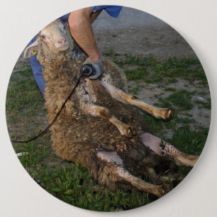 Schapenhoorzitting Ronde Button 6,0 Cm