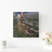 Schapenhoorzitting Vierkante Klok (Huis)