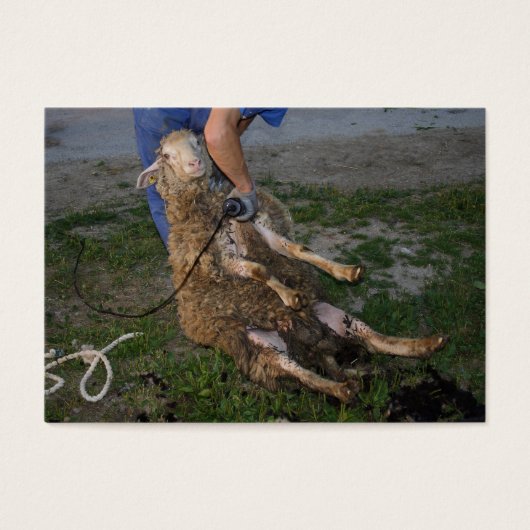 Schapenhoorzitting Visitekaartje (Voorkant)