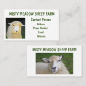 schapenhouderij op Boerderij Visitekaartje (Voorkant / Achterkant)