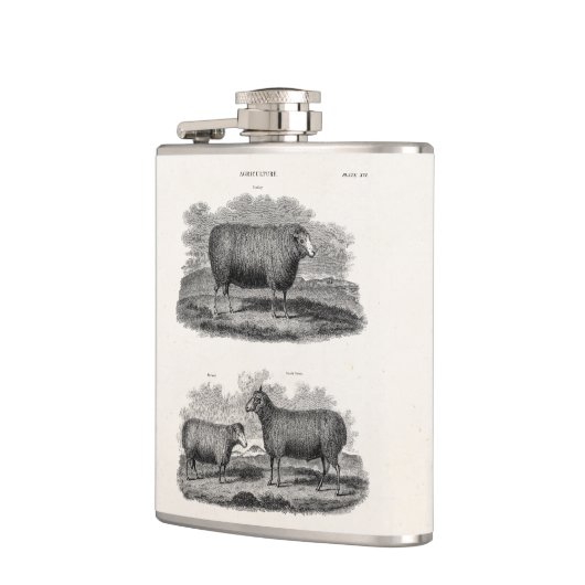  schapenhouderijen: fokooien heupfles (Links)