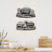 schapenhouderijen: fokooien poster (Keuken)
