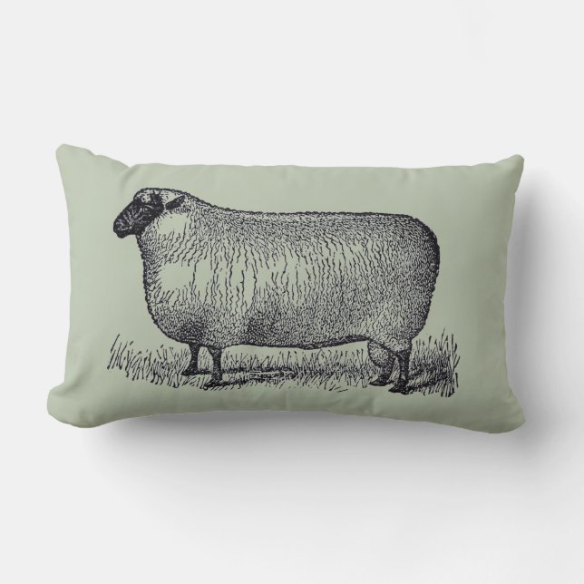 Schapenillustratie Farmhouse Style Home Decor Kussen (Voorkant)