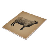 Schapenillustratie  kunst tegeltje (Zijkant)