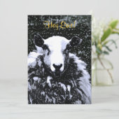 SCHAPENINVITATIE (Staand voorkant)