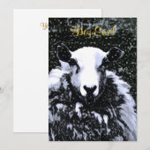 SCHAPENINVITATIE (Voorkant / Achterkant)