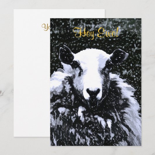 SCHAPENINVITATIE (Voorkant / Achterkant)