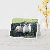 schapenkaart voor Jubileum Kaart (Gele Bloem)