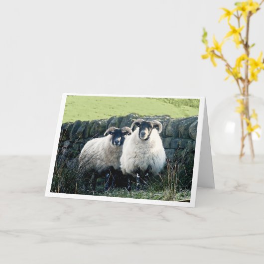 schapenkaart voor Jubileum Kaart (Gele Bloem)