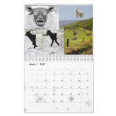 Schapenkalender Kalender (Mar 2027)