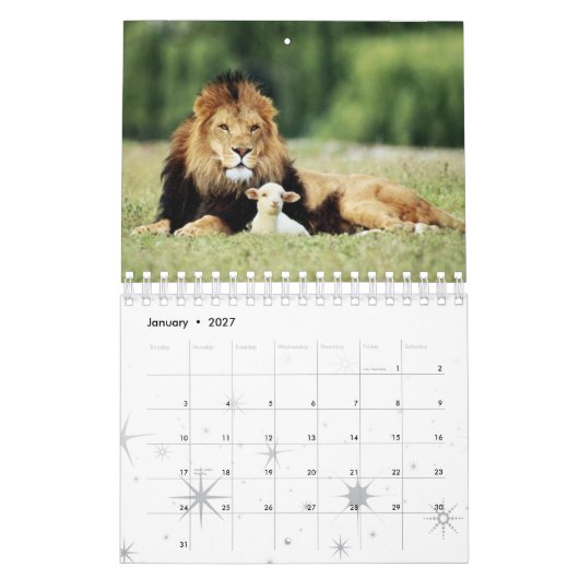 Schapenkalender Kalender (Jan 2027)