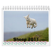 Schapenkalender Kalender (Hoes)