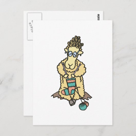 Schapenknitting Briefkaart (Voorkant / Achterkant)