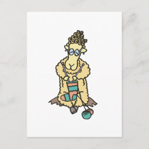 Schapenknitting Briefkaart