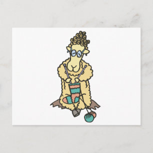 Schapenknitting Briefkaart