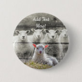 Schapenkoppel Baby Lamb Button (Voorkant)