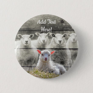 Schapenkoppel Baby Lamb Button