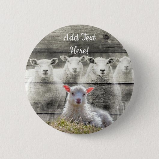 Schapenkoppel Baby Lamb Button (Voorkant)