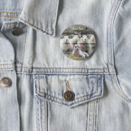 Schapenkoppel Baby Lamb Button (In situ)
