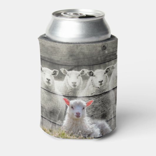 Schapenkoppel Baby Lamb Koelbox Blikjeskoeler (Blikje Achterkant)