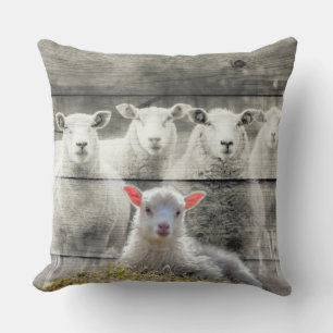 Schapenkoppel Baby Lamb Lumbar Pillow Kussen