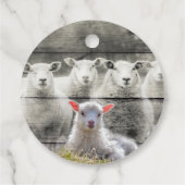Schapenkoppel Baby lampvoet Bedankjes Labels (Achterkant)