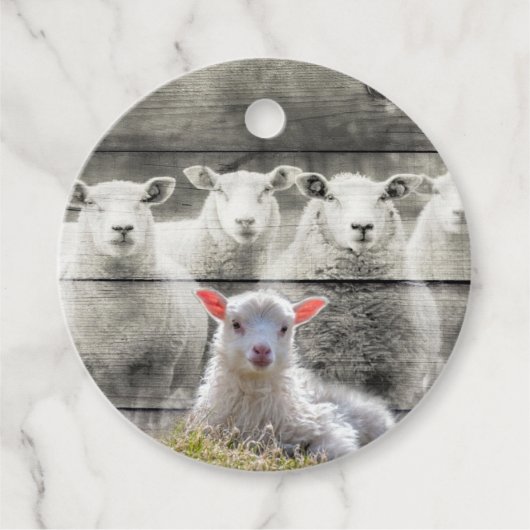 Schapenkoppel Baby lampvoet Bedankjes Labels (Voorkant)