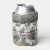 Schapenkoppel Baby lampvoet Blikjeskoeler (Blikje Voorkant)