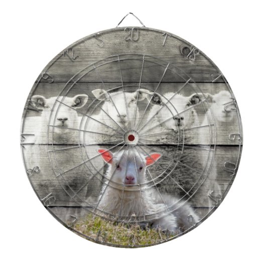 Schapenkoppel Baby lampvoet Dartbord (Voorkant)