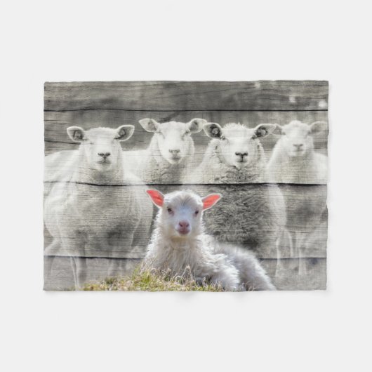 Schapenkoppel Baby lampvoet Fleece Deken (Voorkant (Horizontaal))