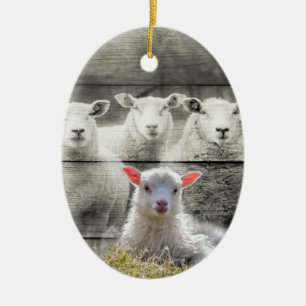Schapenkoppel Baby lampvoet Keramisch Ornament