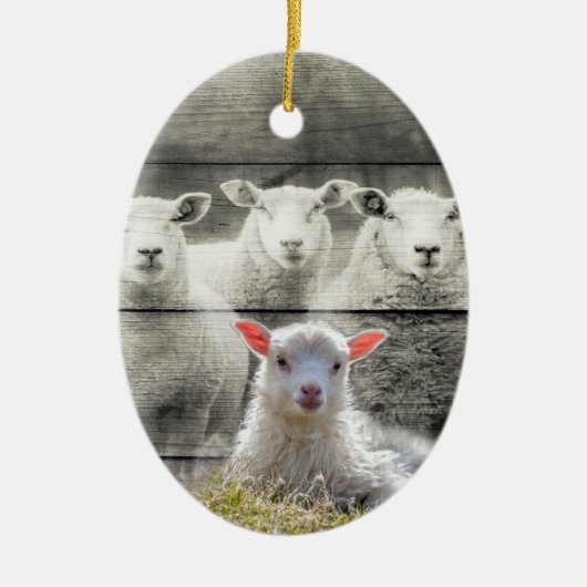 Schapenkoppel Baby lampvoet Keramisch Ornament (Voorkant)